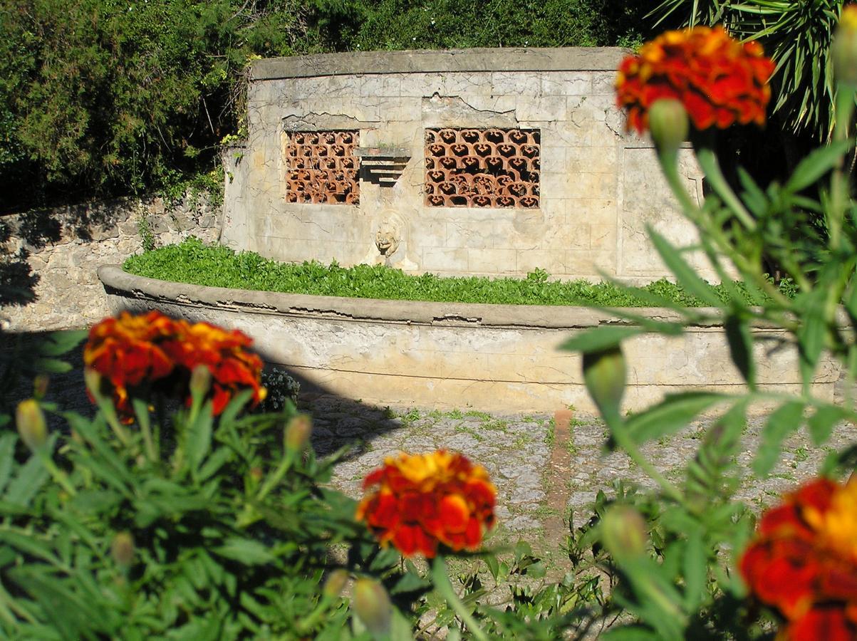 Agriturismo Grazia Orbetello Eksteriør bilde