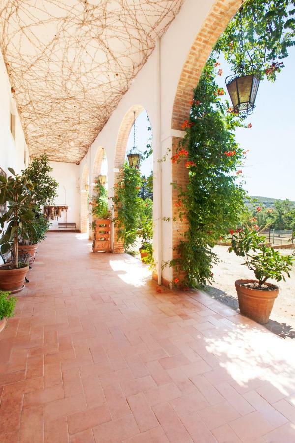 Agriturismo Grazia Orbetello Eksteriør bilde